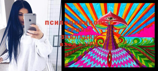 марки lsd Горняк
