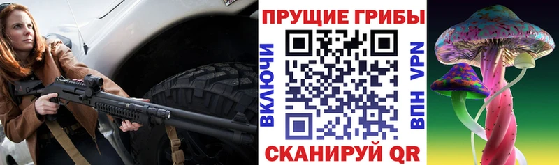 Галлюциногенные грибы Psilocybine cubensis  Купить где  Иннополис 